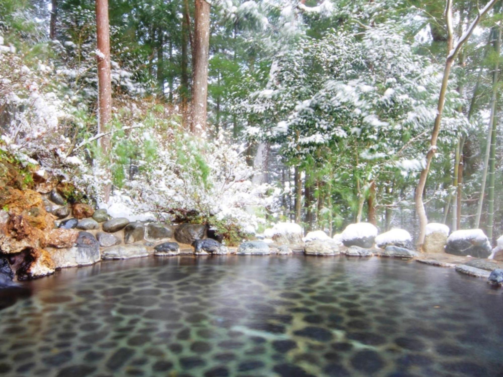 Yumoto Choseikan Obinata Extérieur photo